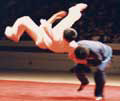 Wu Shu picture