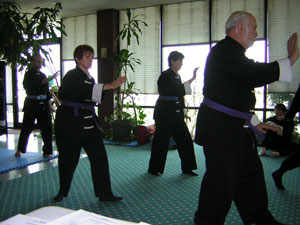 Tai chi practice picture