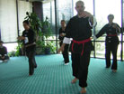 Tai Chi stance picture 