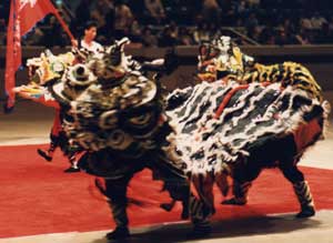 Lion Dance picture